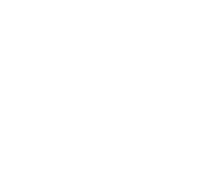 Fahrzeugaufbereitung Icon