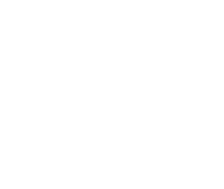 Fahrzeugaufbereitung Icon